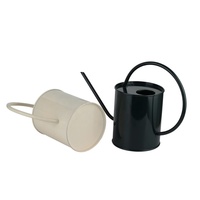 Arrosoir vintage en acier inoxydable 1,5 L écologique à long bec pour jardin et usage intérieur