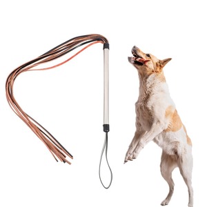 Auf Lager Großhandel für Hunde- & Katzen-Training: Professionelle Trainingspeitsche mit Ton – Modell XD13 - Product Image 1