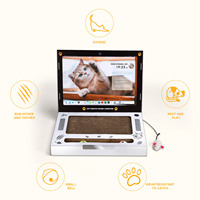 Juguete Rascador para Gatos, Tabla de Cartón con Forma de Sofá, Muebles para Mascotas, Juguetes para Gatos, Venta al Por Mayor, Nuevo