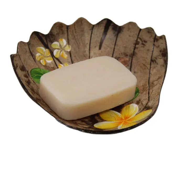 Boîte à savon en coquille de noix de coco, porte-savon écologique, jouet fait à la main