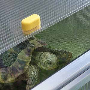 Paula <strong>Turtle</strong> House Breathable Pet Furniture Extension Kit for Small Animals Made of Durable <strong>Glass</strong> - Product Image 4