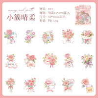 30pcs Per Pack Stiker Yuqinghua Stiker Perencana Terjemahan, Stiker Perencana Tahan Air, Perlengkapan Perencana PET