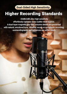 Ensemble de microphone à condensateur professionnel TAKSTAR CM500, multi-directionnel, tube, XLR, métal, plastique, pour l'enregistrement vocal et de chœur - Product Image 4