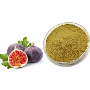 مصنع توريد الغذاء الصف Ficin اللبخ كاريكا التين مسحوق مستخرج من الورق - Product Image 3