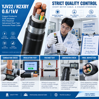 Kabel Daya Tegangan Rendah YJV22 N2XBY Tembaga Murni Multi Strand Berisolasi PVC Berlapis XLPE Tugas Berat untuk Penggunaan Bangunan dan Industri