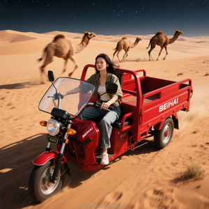 Tricycle de transport de marchandises à trois roues de haute qualité, robuste, forte capacité de charge, véhicule de transport de marchandises électrique pour adultes - Product Image 3