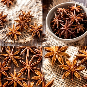 Anís estrellado orgánico seco al por mayor directo de fábrica, especias de anís estrellado vietnamita premium enteras - Product Image 1