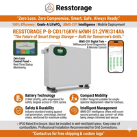 Batterie solaire murale certifiée CE, 51,2 V 300 Ah, stockage d'énergie mobile CAN 15,36 kWh, compatible avec les onduleurs solaires triphasés