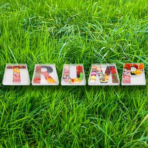 2026 Letras de Cartón Rellenables de 12 Pulgadas con la Palabra 'HARRIS' para Fiestas de Celebración de las Elecciones Presidenciales de EE. UU. y Charcutería - Product Image 3