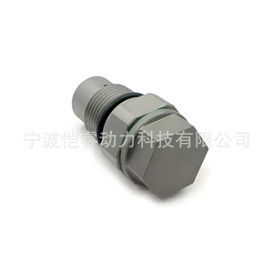Soupape de surpression de carburant Common Rail 4384241 4384241-06 pour moteur Iveco de service moyen, pièce de rechange - Product Image 4