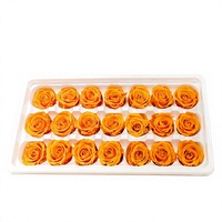 Têtes de roses stabilisées en gros pour bricolage (2-3 cm) – Idéales pour mariages, remises de diplômes, Noël, la fête des Mères, Pâques, décorations murales, couronnes et plantes