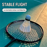 Volants de badminton en plumes d'oie haute vitesse, durables pour l'entraînement en extérieur, balles de badminton à vol stable pour la pratique sportive