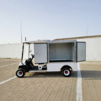 Carrito de Golf Utilitario de 2 Plazas Económico con Motor de CA de 3.5KW para Transporte en Atracciones Turísticas con Entrega Rápida