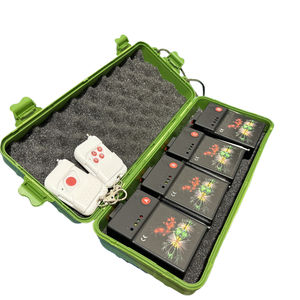 China Pirotécnico Control remoto inalámbrico Sistema de disparo de fuegos artificiales Encendedor de fuegos artificiales - Product Image 1