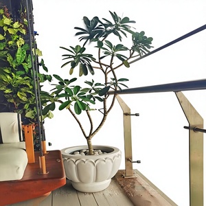 Pot de fleurs ELORA Premium en fibre de verre FRP blanc mat, classique, pour l'intérieur et l'extérieur, décoration de jardin, meilleure offre - Product Image 3