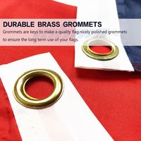 Drapeau d'Irlande en polyester 3x5 pieds avec œillets, prêt à être expédié, MOQ 10 pièces