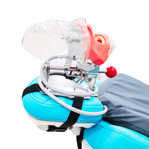 Preparación tipodónica de cavidad, modelo Dental estándar 28 <span class=keywords><strong>Remo</strong></span> - Product Image 2