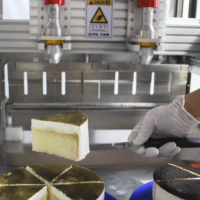 Machine de traitement des aliments par ultrasons pour la découpe automatique de gâteaux de boulangerie, en acier inoxydable, avec applications de découpe sécurisée et nettoyage automatique
