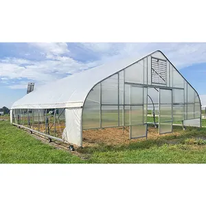 High-yield Single-building Cucumber Growing Greenhouse