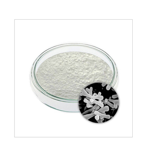 Poudre de Bifidobacterium Longum, poudre de culture bactérienne probiotique pour la fabrication d'ingrédients nutritionnels et de compléments alimentaires - Product Image 3