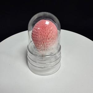 Vente en gros usine : Crème glacée au litchi, chocolat aux fruits, en forme de litchi, 75g/boîte, prête à consommer, OEM, produit phare - Product Image 3