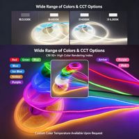 Bande LED en silicone intégral 5mm 400 LED/m, PCB double cuivre électroplaqué, 5V 12V 24V, plusieurs couleurs pour éclairage personnalisé large spectre