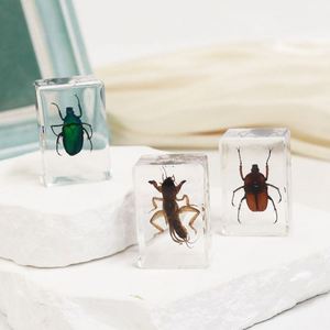 Transparent Acrylic Handmade Resin Crafts <b>Crystal</b> Paperweights Resin Craft for School Teaching - Product Image 2