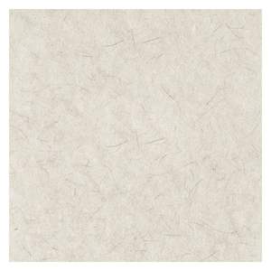 19 pouces. Tampons de polissage pour sols # # # #   Blanc naturel # # # #   Boardwalk BWK4019NAT (5/carton) - Product Image 5