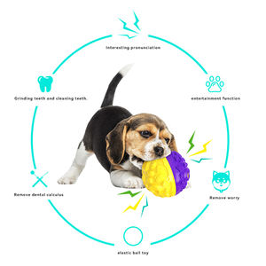 Az Nieuwe Meteorietvorm Raar Lawaai Speelgoed Bal Slijtvaste Bijtbestendige Huisdier Speelgoed Bal Producten - Product Image 5