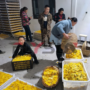 Séchoir à bande maillée automatique à commande PLC, vente chaude en usine, pour le séchage des fleurs de lys, haute efficacité, acier inoxydable 304 - Product Image 4