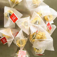 Sac filtre à thé pyramide en Nylon écologique sachet de thé en vrac avec ficelle Carton emballage cordon taille personnalisée K-TB-062 acceptée