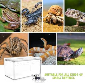 Custom Transparent Acrylic Reptile <b>Enclosure</b> Fit Clear <b>Tarantula</b> Spider Terrarium for Small Reptile Pets - Product Image 6