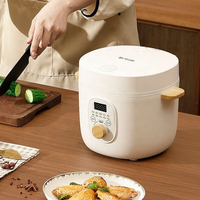 Vente chaude Ankale Fabrication Mini cuiseur à riz électrique pour la cuisson du riz à la maison.