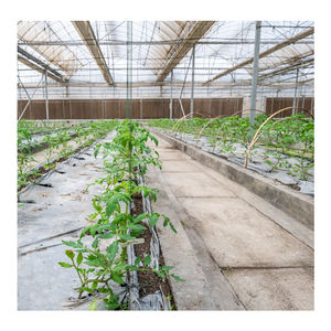 <span class=keywords><strong>Serre</strong></span> tunnel économique à grande portée, monocouche en PE, avec film anti-goutte, conception étanche, joints scellés, Chine - Product Image 4