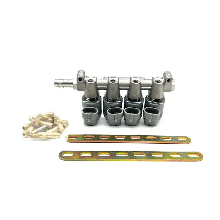 Kit di conversione CNG rail iniettore gpl cng doppio carburante 4 cilindri 2 Ohm 3 Ohm cng gnv gnc gpl glp otgaz automas rail iniettore