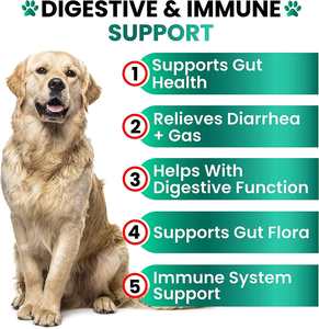 OEM Private Label pollo-aromatizzato probiotici Soft mastica Pet nutrizione integratore per la salute dell'intestino per cani e gatti - Product Image 2