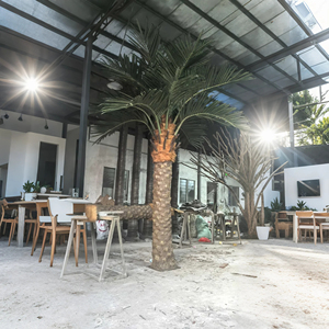 Tùy Chỉnh Chiều Cao Lớn Cây Tảo Nhân Tạo Canary Ngày Cây Cọ Cây Dừa Nhân Tạo Cho Ngoài Trời Trang Trí - Product Image 1