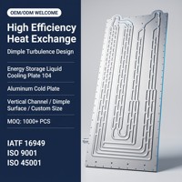 Fournisseur direct d'usine de plaques de refroidissement liquide en aluminium soufflé, résistance à la pression de 1,2 MPa pour batteries de stockage d'énergie OEM