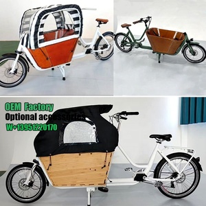 Remorque de vélo électrique à deux roues en alliage d'aluminium avec batterie au lithium pour bébé - Product Image 4