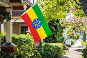 Ventes directes d'usine drapeau éthiopien 3ftx5ft drapeaux nationaux éthiopiens polyester avec œillets en laiton drapeau de pied - Product Image 4