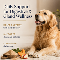 Soutien des glandes anales du chien : Friandises à mâcher molles à la fibre de citrouille et aux probiotiques pour la santé digestive des animaux de compagnie – Marque privée OEM