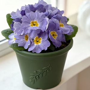 <span class=keywords><strong>Maceta</strong></span> Pequeña de Terracota y Plástico Verde. Diseño Cónico con Relieve de Hojas, <span class=keywords><strong>Maceta</strong></span> para Flores de Jardín para Decoración de Oficina y Exteriores. - Product Image 6