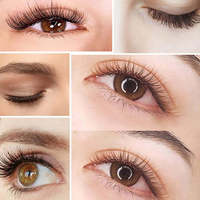 Extensions de cils individuels en gros 0,01 mm 0,07 mm courbure C D, plateaux d'extensions de cils en cachemire noir mat en gros