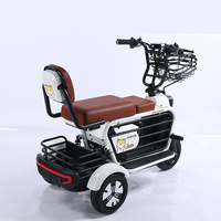 Vente en gros de tricycles électriques pour personnes âgées, modèle M1, vélo à 3 roues, scooter électrique miniature à trois roues pour adultes, pas cher