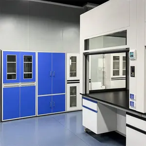 Stratifié compact DEBO banc de laboratoire de sciences scolaires personnalisé Table de laboratoire équipement de laboratoire médical