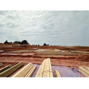 Cobertizo de estructura de madera con marco de <span class=keywords><strong>portal</strong></span> de alta calidad, cobertizo de madera para jardín al mejor precio - Product Image 2