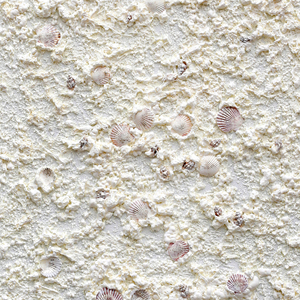 Peintures murales décoratives uniques en <span class=keywords><strong>mousse</strong></span> blanche et coquillages pour la décoration de la maison, du bureau et des hôtels - Product Image 3