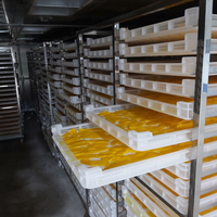 Zachte gedroogde mango met waterconservering, graad A, zoet-zure smaak uit Vietnam +84 976727907 mevrouw Carolina
