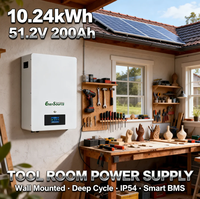 Baterai LiFePO4 48V 10kWh 51.2V 200Ah untuk Sistem Surya yang Dipasang di Dinding