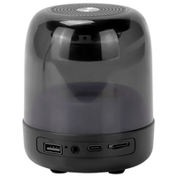 Haut-parleur portable OEM Bluetooth 5.3 avec lumière RVB - Prise en charge de la radio FM, du lecteur USB, de la carte TF, de l'AUX, du TWS, microphone intégré, design compact